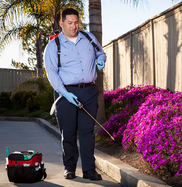 Why Choose Arlington Pest Control Pro in Arlington, VA?