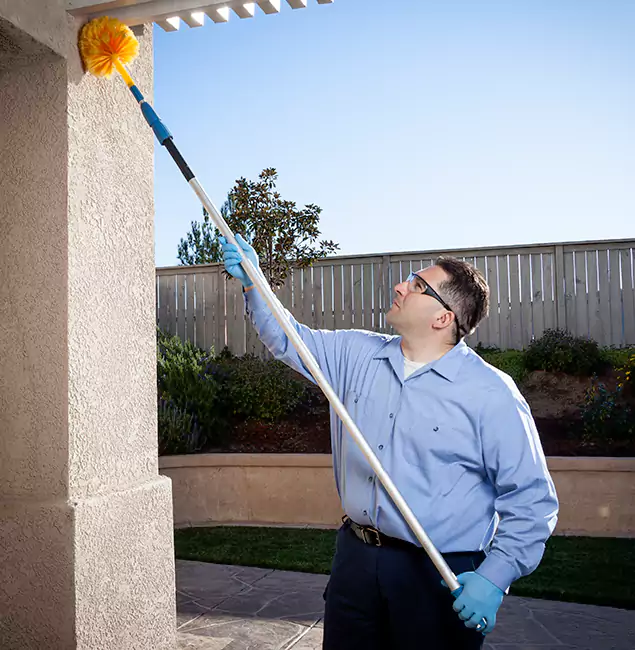 Why Choose Arlington Pest Control Pro for Pest Control Services in Arlington, VA?