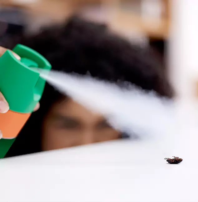 Why Arlington, VA Homeowners Choose Arlington Pest Control Pro for Roach Pest Control?