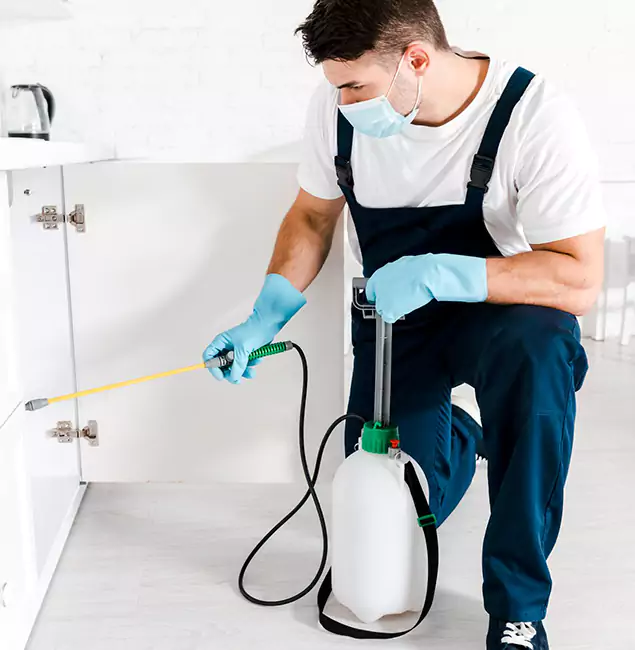 Why Choose Arlington Pest Control Pro for Termite Spot Treatment in Arlington, VA?
