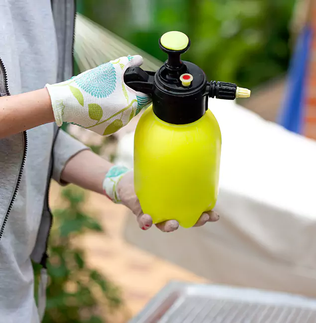 Why Choose Us: Arlington Pest Control Pro Termite Spraying Experts in Arlington, VA?
