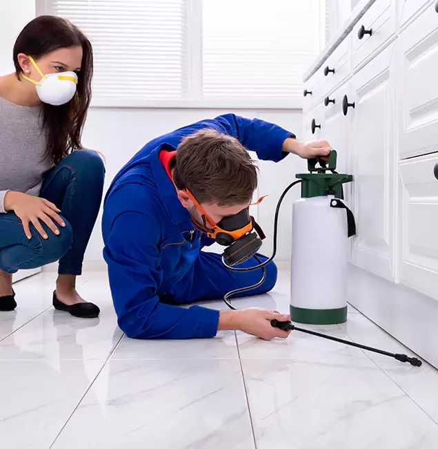 Why Choose Wood Termite Treatment by Arlington Pest Control Pro in Arlington, VA?