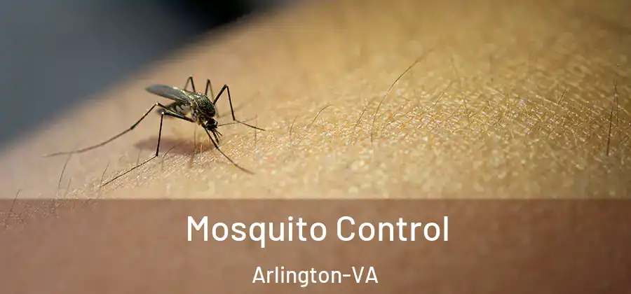 Mosquito Control Arlington-VA