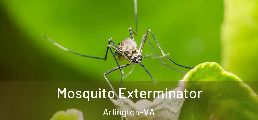  Mosquito Exterminator Arlington-VA