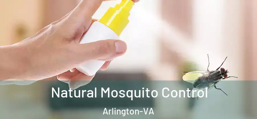 Natural Mosquito Control Arlington-VA