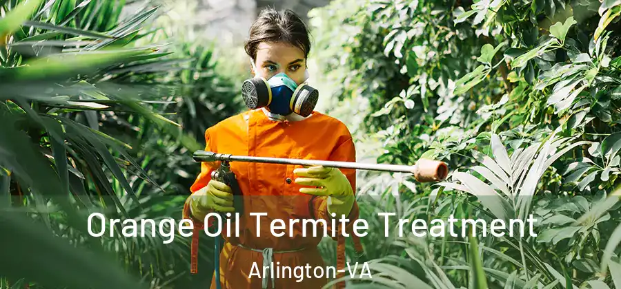  Orange Oil Termite Treatment Arlington-VA