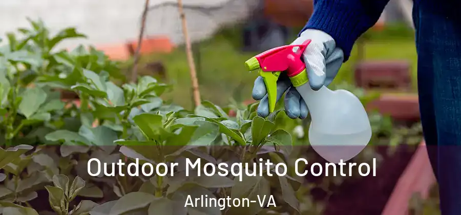 Outdoor Mosquito Control Arlington-VA