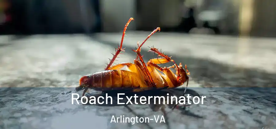 Roach Exterminator Arlington-VA