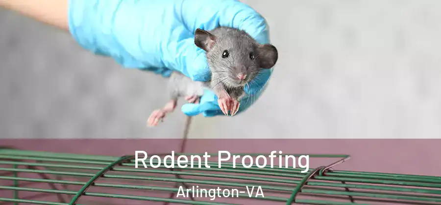 Rodent Proofing Arlington-VA