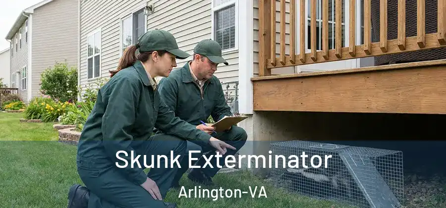  Skunk Exterminator Arlington-VA