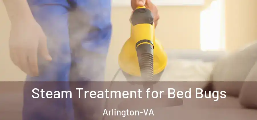 Steam Treatment for Bed Bugs Arlington-VA