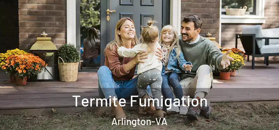 Termite Fumigation Arlington-VA