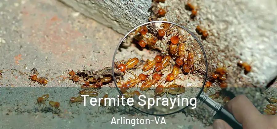  Termite Spraying Arlington-VA