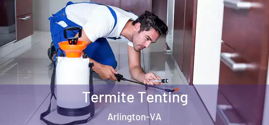 Termite Tenting Arlington-VA