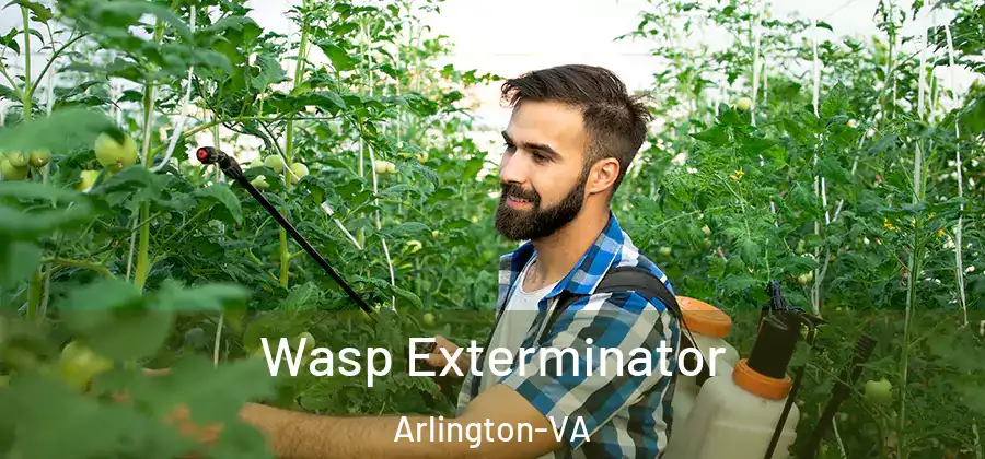  Wasp Exterminator Arlington-VA