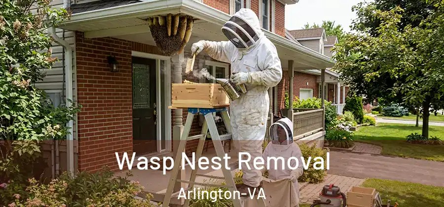 Wasp Nest Removal Arlington-VA