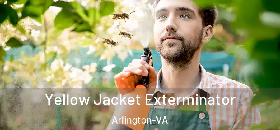 Yellow Jacket Exterminator Arlington-VA
